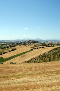 Panoramica sulle colline di Magliano di Tenna.