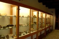 Museo dei fossili