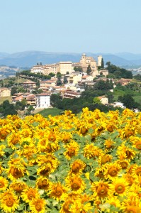 Panoramica di Monte Vidon Corrado.